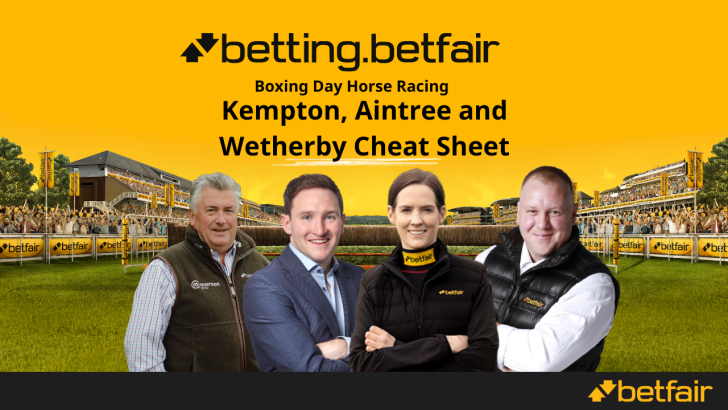 Horse racing tips from the Betfair Boxing Day cheat sheet